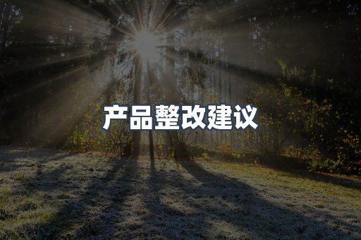产品整改建议